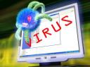 computer_viruses.jpg